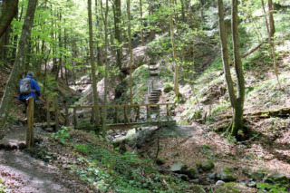 Altenbachklamm Oberhaag (Foto: Ulrike Elsneg)