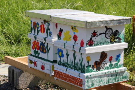 Projekt Bienen Volksschule und Kindergarten Langegg (Foto: Ulrike Elsneg)