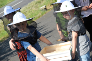 Projekt Bienen Volksschule und Kindergarten Langegg (Foto: Ulrike Elsneg)