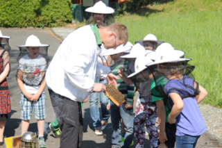 Projekt Bienen Volksschule und Kindergarten Langegg (Foto: Ulrike Elsneg)