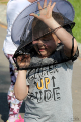 Projekt Bienen Volksschule und Kindergarten Langegg (Foto: Ulrike Elsneg)