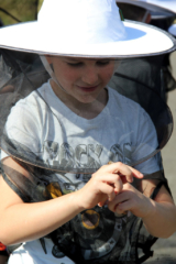 Projekt Bienen Volksschule und Kindergarten Langegg (Foto: Ulrike Elsneg)