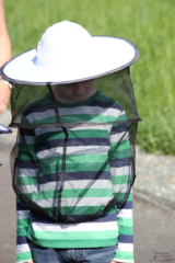 Projekt Bienen Volksschule und Kindergarten Langegg (Foto: Ulrike Elsneg)