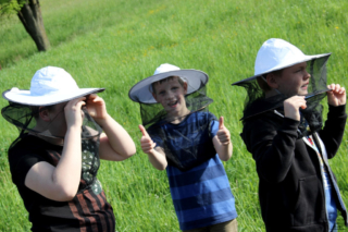 Projekt Bienen Volksschule und Kindergarten Langegg (Foto: Ulrike Elsneg)