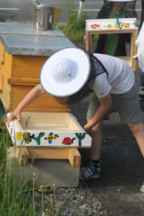 Projekt Bienen Volksschule und Kindergarten Langegg (Foto: Ulrike Elsneg)