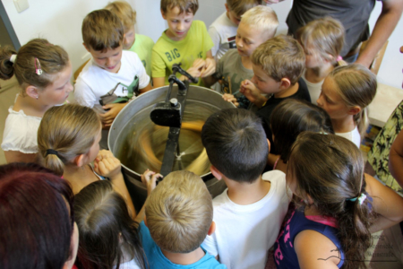 Projekt Bienen VS/Kindergarten Langegg (Foto: Ulrike Elsneg)